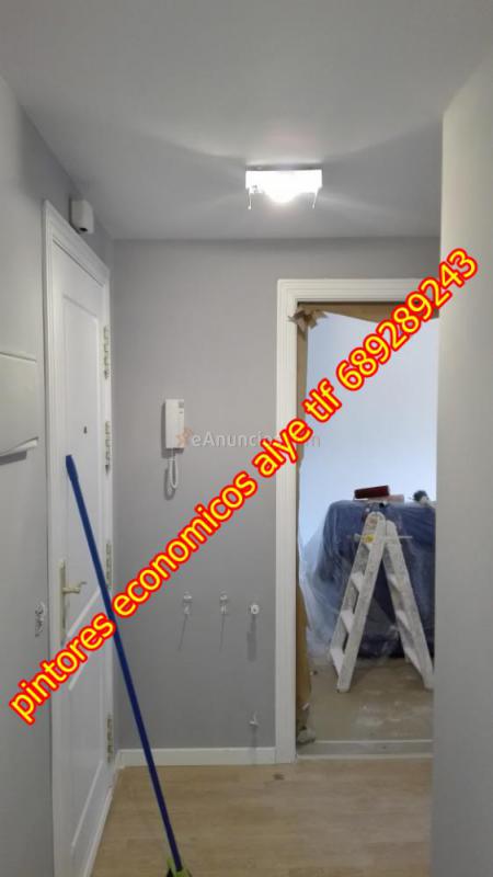 pintores economicos en seseña 689289243 alye