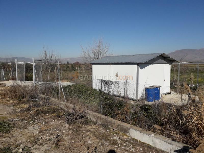 Vendo huerto fértil en la comarca de l Vega de Granada
