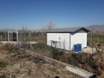 Vendo huerto fértil en la comarca de l Vega de Granada