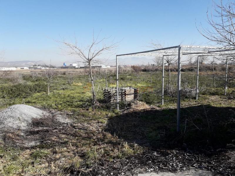 Vendo huerto fértil en la comarca de l Vega de Granada