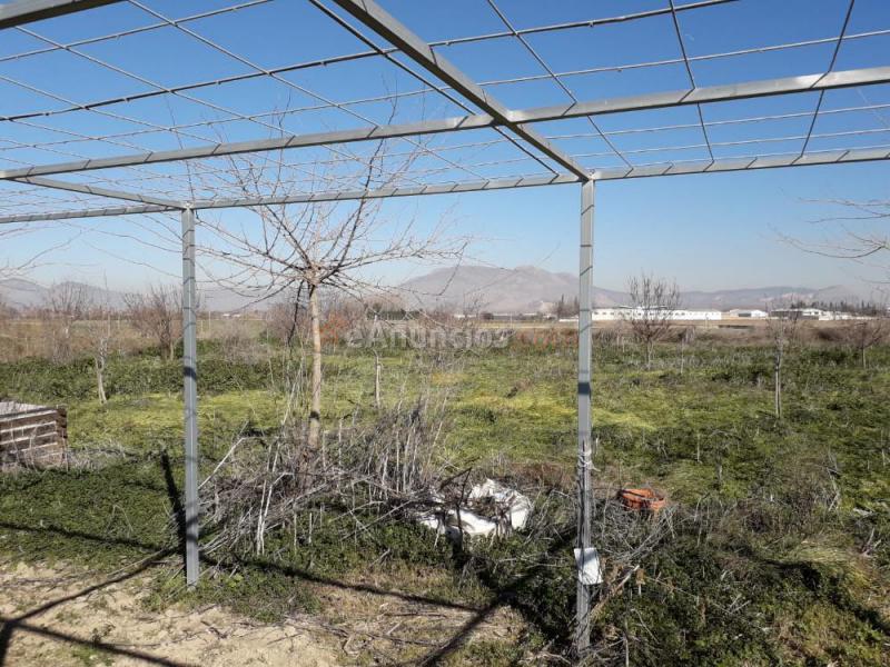 Vendo huerto fértil en la comarca de l Vega de Granada