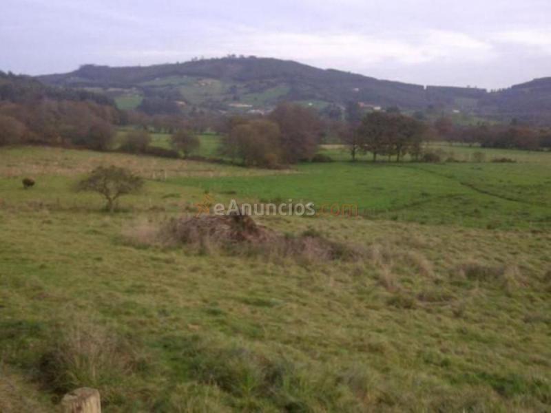 Parcela Rustica en venta en  XILAGON, Villaviciosa - Amandi, Villaviciosa