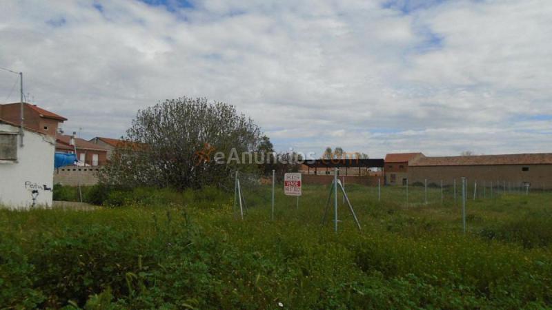 Parcela Rustica en venta en  Alovera