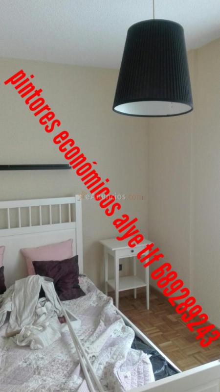 pintores economicos en valdemoro 689289243 alye