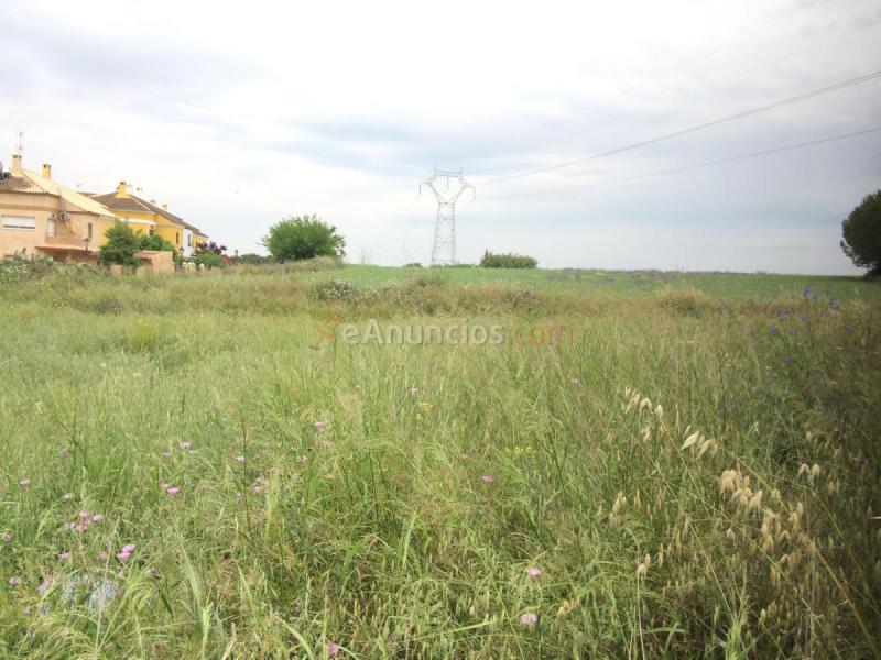 Parcela Rustica en venta en  Salteras