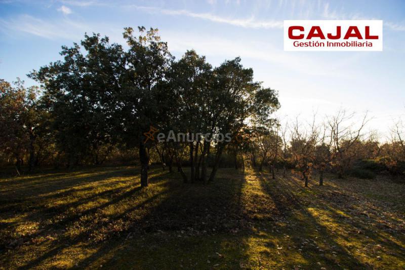 Adosado en venta en Camino Soto Pinilla, Castillejo de Mesleon