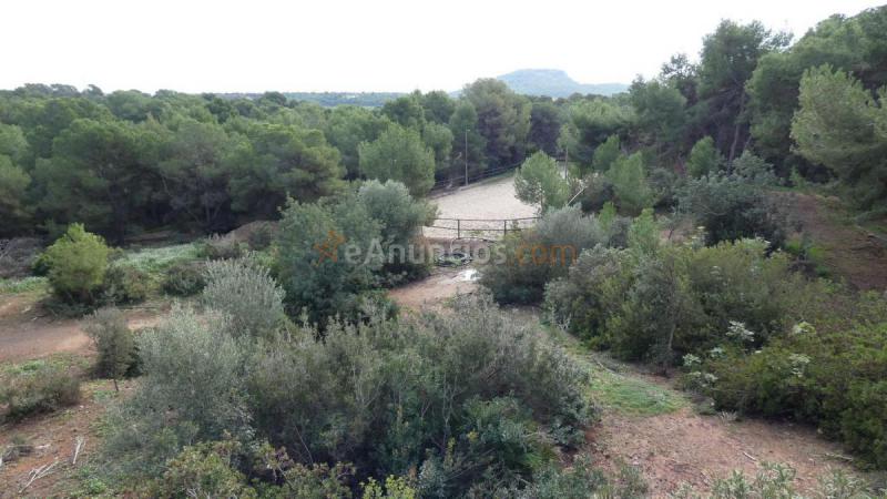 Casa Rural en venta en  Casco Urbano, Náquera