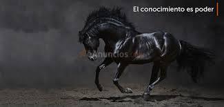 Abogado Asesor de Inversiones Urbanismo Inmobiliario.