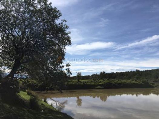 Venta rancho buena vista tlaxcala