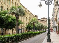 Apartamento vive zaragoza