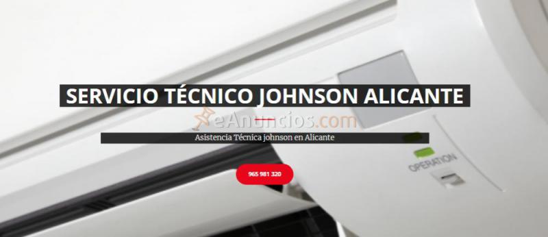 Reparación Johnson Alicante 676767348*