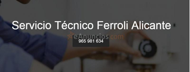 Reparación Ferroli Alicante 676762569