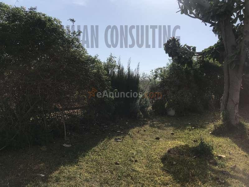 CHALET O FINCA RUSTICA 2 HECTAREAS