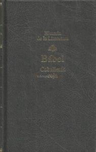 Retrato de Grupo con Señora