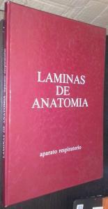 Láminas de anatomía. Aparato respiratorio