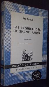 Las inquietudes de Shanti Andía