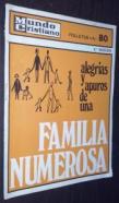 Alegrias y apuros de una familia numerosa
