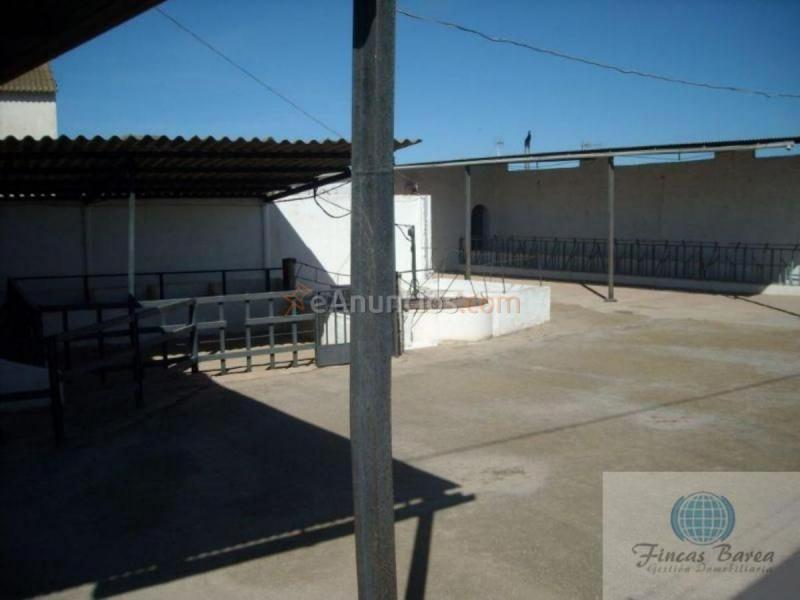 Casa Rural en venta en  Campillos