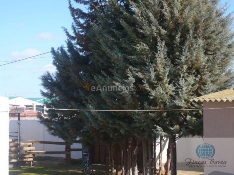 Casa Rural en venta en  Campillos