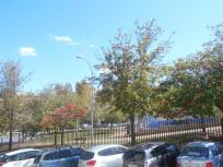 Apartamento en venta en  Centro, Málaga