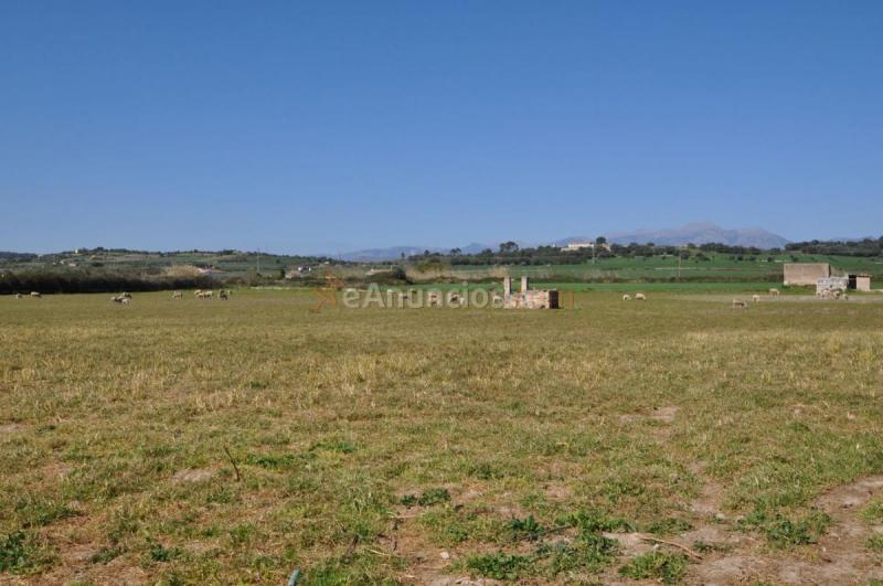 Casa Rural en venta en  Santa Margalida, Santa Margalida