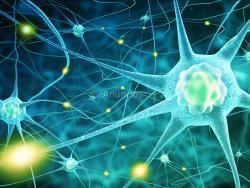 donde estudiar parapsicologia - prapsicologia online