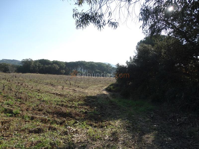 Compro Finca Rustica