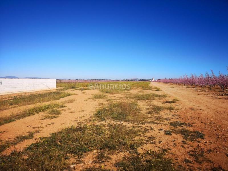 Venta de 2 fincas en la aljorra