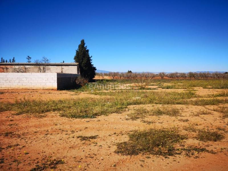 Venta de 2 fincas en la aljorra