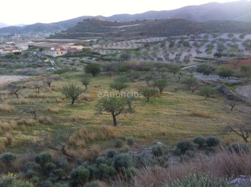 Venta 2 fincas en los puertos santa barbara