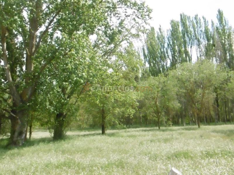 Apartamento en venta en Calle el Mesón, Villafría - La Ventilla - Castañares, Burgos