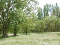 Apartamento en venta en Calle el Mesón, Villafría - La Ventilla - Castañares, Burgos