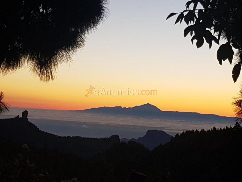Adosado en venta en Pozo de las Nieves, Vega de San Mateo