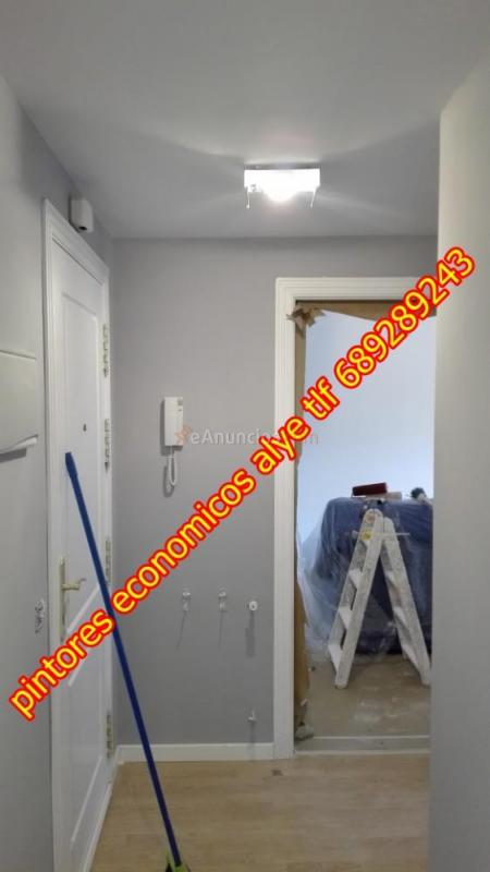 pintores economicos en majadahonda 689289243 alye