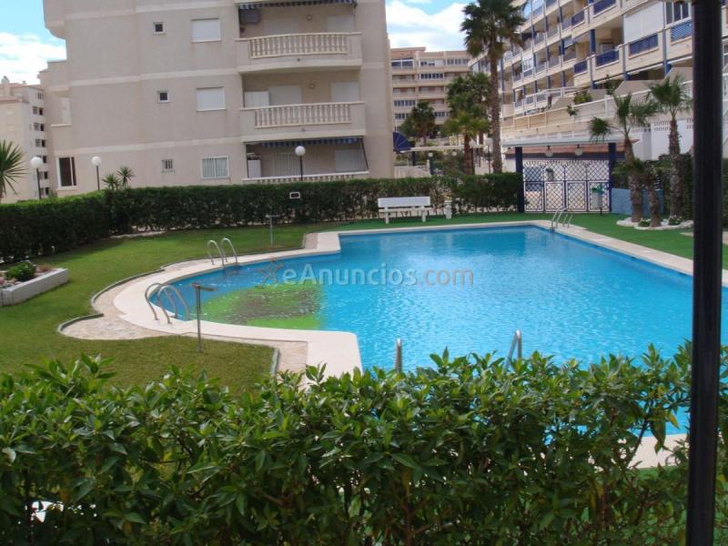 Apartamento en alquiler en Avenida Costablanca, Arenales del Sol