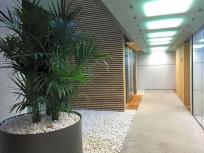 Apartamento en alquiler en Avenida de los Madroños, Hortaleza, Madrid