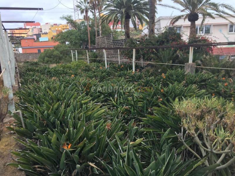 Parcela Rustica en venta en  CL MARIA DE LA PAZ, Santa Cruz Suroeste, Santa Cruz de Tenerife