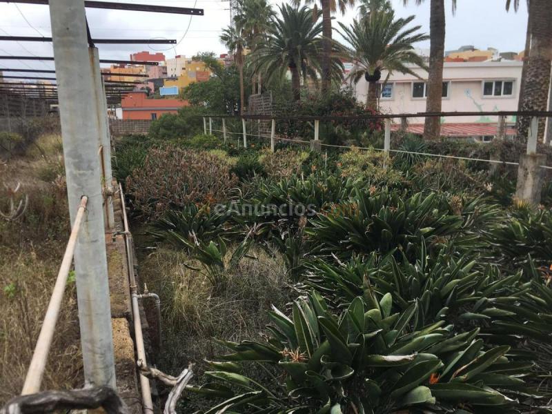 Parcela Rustica en venta en  CL MARIA DE LA PAZ, Santa Cruz Suroeste, Santa Cruz de Tenerife