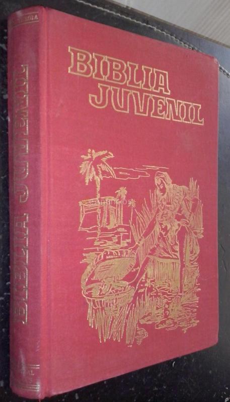 Biblia juvenil