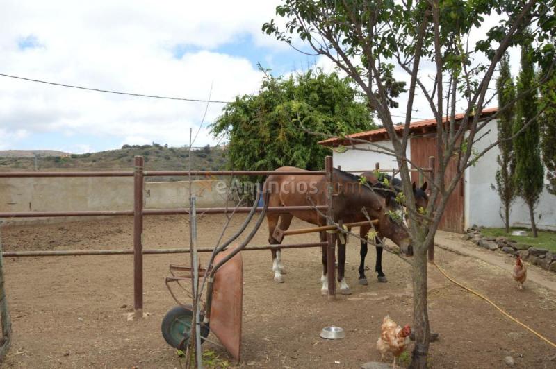 Casa Rural en venta en  Las Labradoras, Tamaraceite - San Lorenzo, Las Palmas de Gran Canaria