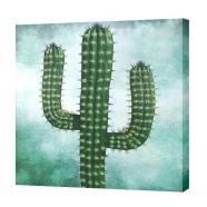 Lienzo Brazos de Cactus 58 x 58 cm