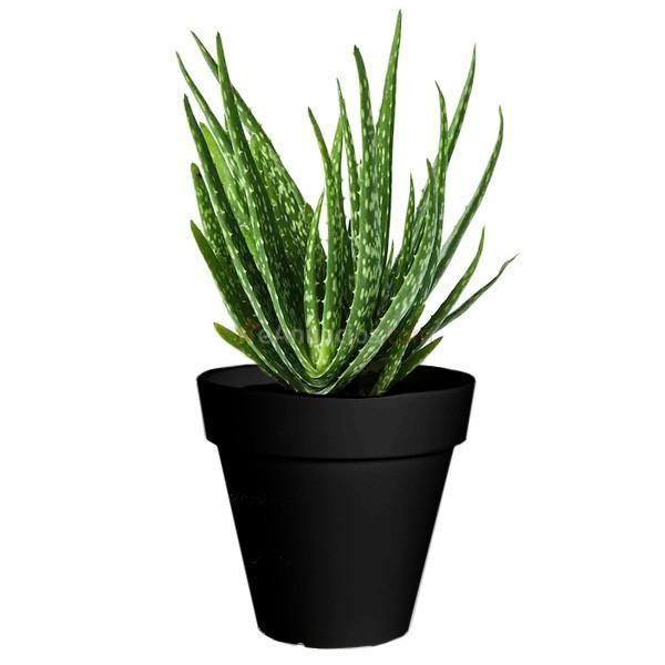 Macetero redondo negro Future Little 35x33 cm