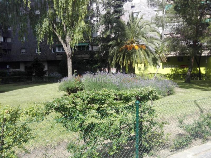 Local Comercial en venta en Calle Pío Baroja, Retiro, Madrid