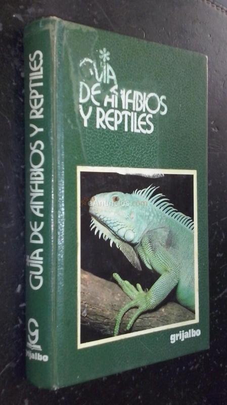 Guía de anfibios y reptiles