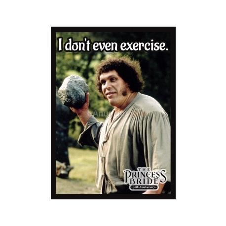 Legion funda princess bride exercise (50)