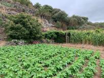 Casa Rural en venta en  Hoya de la zarza, Tamaraceite - San Lorenzo, Las Palmas de Gran Canaria