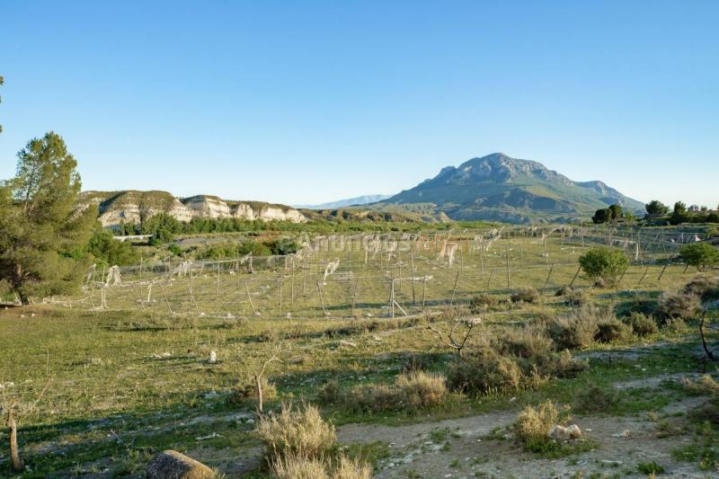Casa Rural en venta en  Llano de los coroneles, Poligono 7 Parcela 534, Cortes de Baza