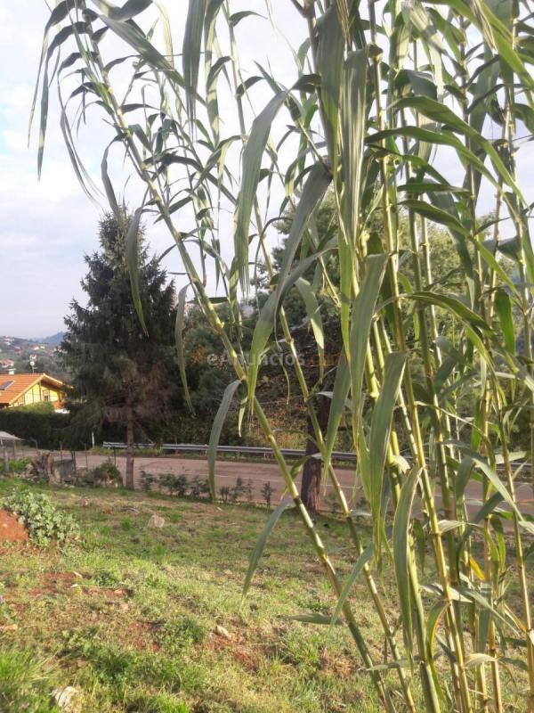 Adosado en venta en  BARRIO DE ZALCE, Periurbano, Gijón