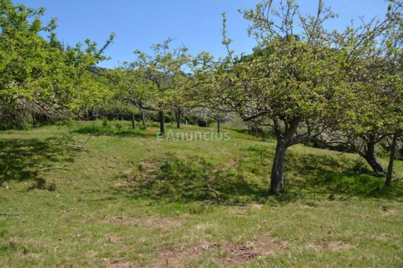 Parcela Rustica en venta en  Parroquias Norte, Siero