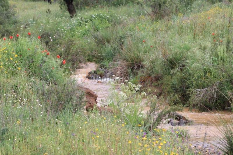 Casa Rural en venta en  Villarta